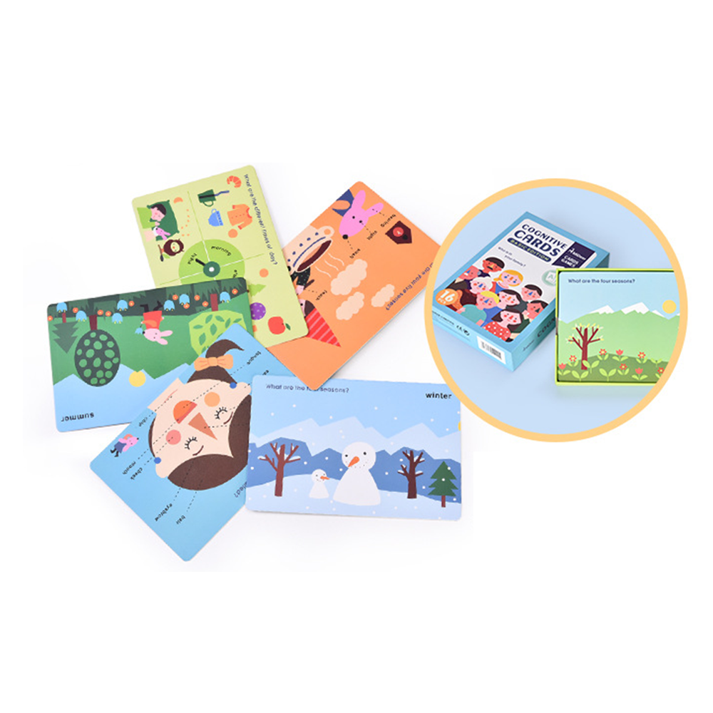 认知闪存卡教育学习基础