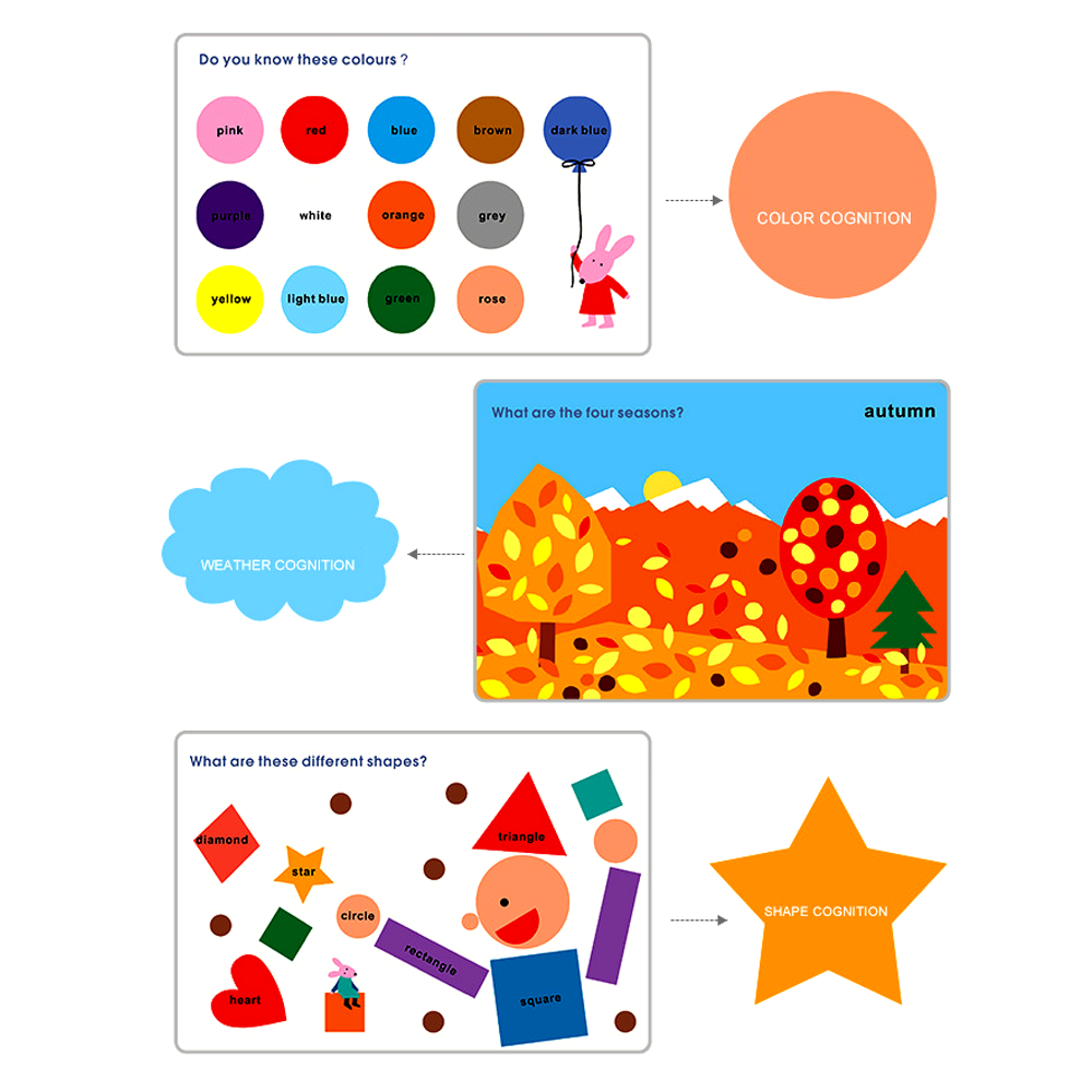 认知闪存卡教育学习基础