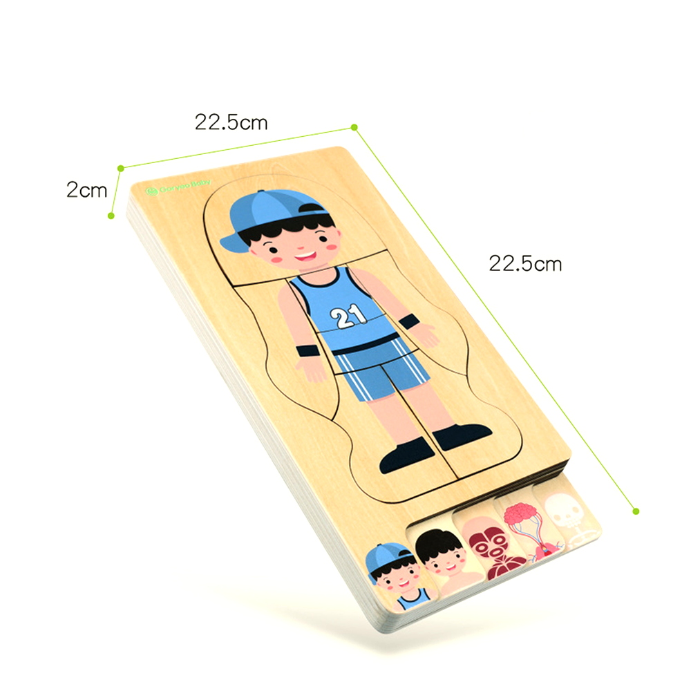 Wooden Body Puzzle Boy 5 Layer Body Puzzle anatomy Kids Puzzle Educational Toy