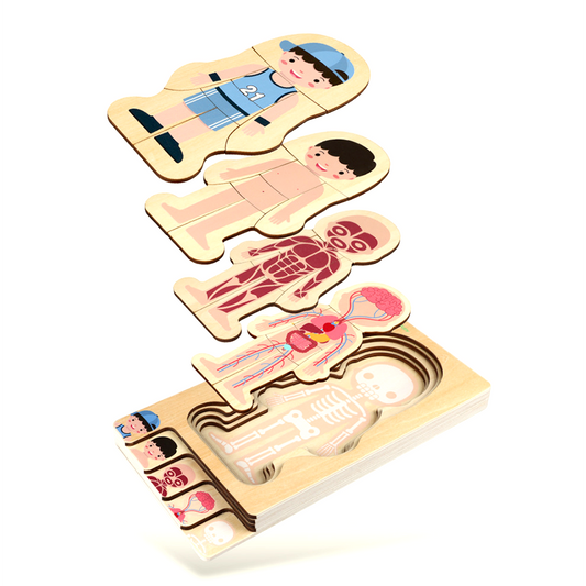 木制身体拼图 男孩 5 层身体拼图 解剖学 儿童拼图 教育玩具