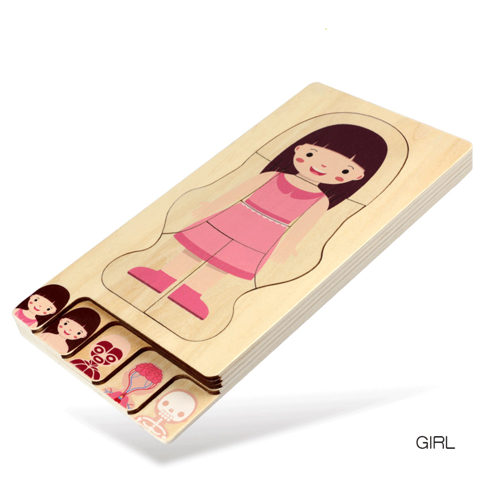 Wooden Body Puzzle Boy 5 Layer Body Puzzle anatomy Kids Puzzle Educational Toy