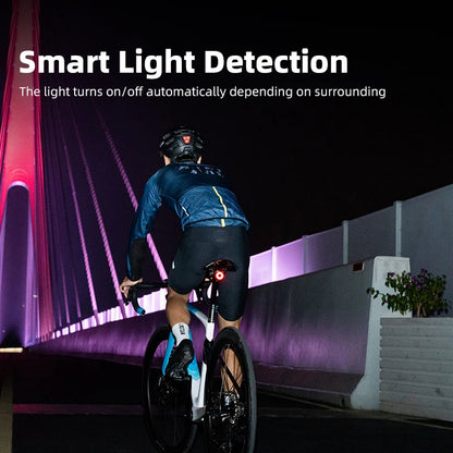 Smart Bike Tail Light Auto Brake Sensing Team Sync Rechargeable LED