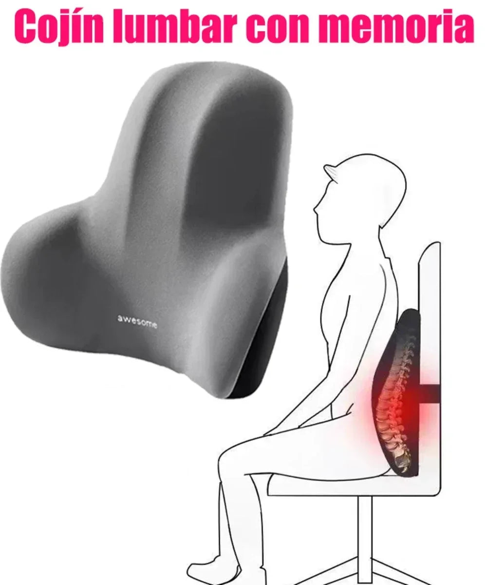 Memory Foam Lumbar Support Cushion for Car Office Chair Back Pain Relief