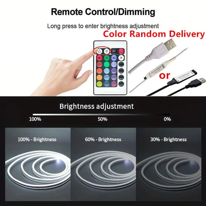 LED Neon Strip Lights 5V USB Powered Music Sync 24-Key Remote Waterproof