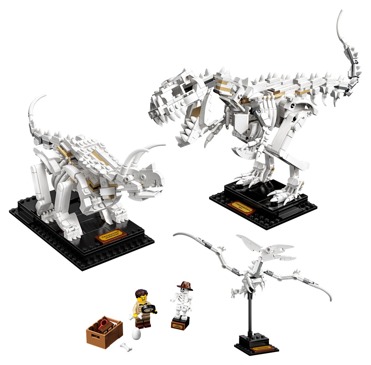 LEGO Ideas 21320 Dinosaur Fossils | 910 Pieces | T-Rex Triceratops Pteranodon